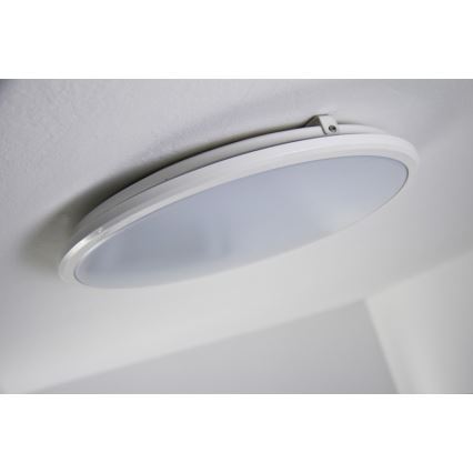Philips 30805/31/16 - Stropní LED svítidlo MYLIVING TWIRL 30K LED/11W/230V