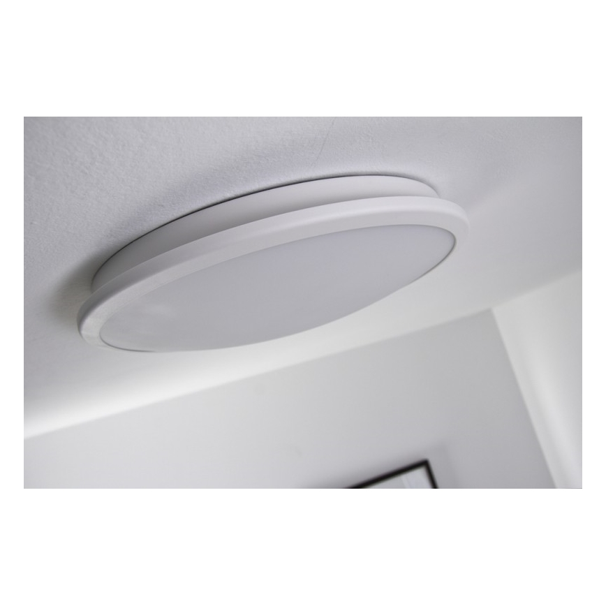 Philips 30941/31/16 - Stropní LED svítidlo MYLIVING DENIM 1xLED/8W/230V
