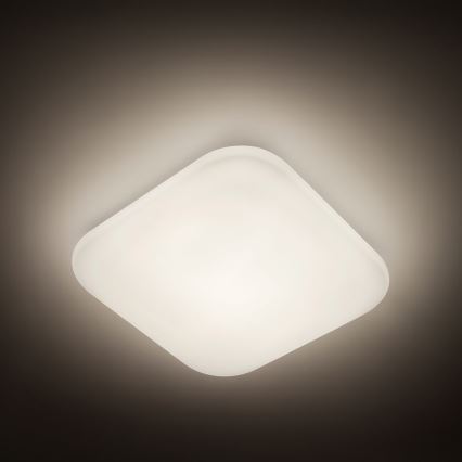 Philips - LED stropní svítidlo 1xLED/17W/230V 4000K