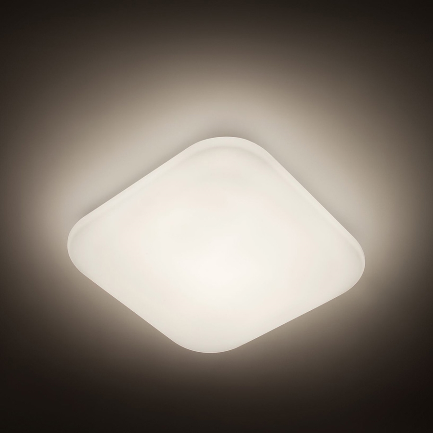 Philips 31110/31/P3 - LED stropní svítidlo MAUVE 1xLED/17W/230V