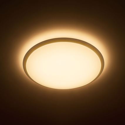 Philips - LED stropní svítidlo 1xLED/17W/230V