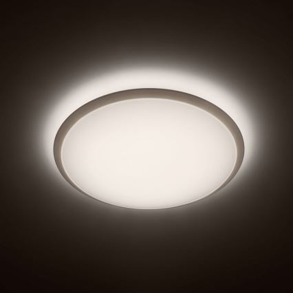 Philips - LED stropní svítidlo 1xLED/20W/230V