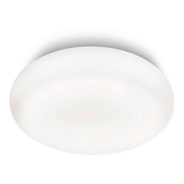 Philips 32067/31/16 - Koupelnové stropní svítidlo MYBATHROOM MIST 2xE27/15W/230V Philips 32067/31/16 - Koupelnové stropní svítidlo MYBATHROOM MIST 2xE27/15W/230V