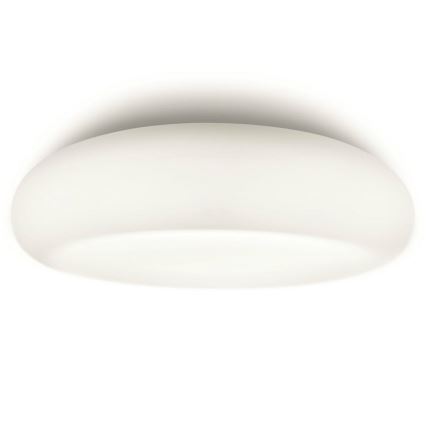 Philips 32067/31/16 - Koupelnové stropní svítidlo MYBATHROOM MIST 2xE27/15W/230V IP44