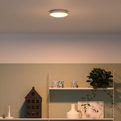 Philips 32096/31/P0 - Stropní svítidlo MYLIVING MAUVE 4xLED/2,5W/230V