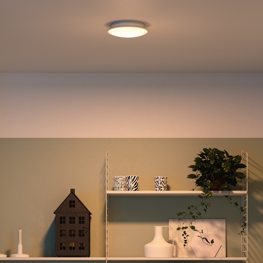 Philips 32096/31/P0 - Stropní svítidlo MYLIVING MAUVE 4xLED/2,5W/230V