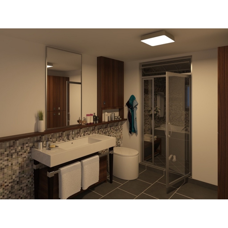 Philips 32204/17/16 - Stropní koupelnové svítidlo INSTYLE PLANO 1x2GX13/60W/230V