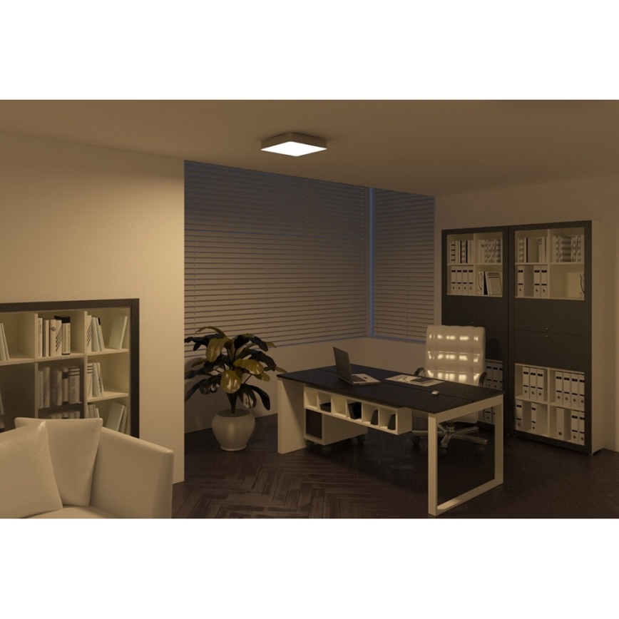 Philips 32204/17/16 - Stropní koupelnové svítidlo INSTYLE PLANO 1x2GX13/60W/230V