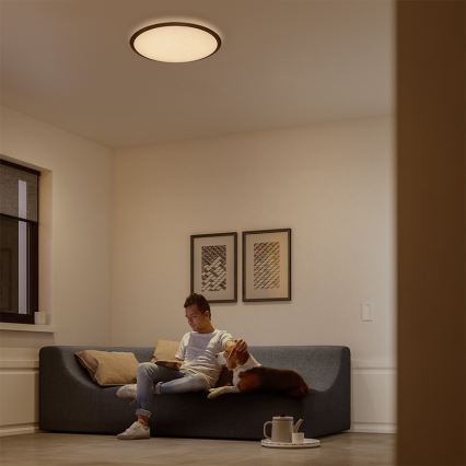 Philips 32809/31/P0 - LED Stmívatelné stropní svítidlo CANAVAL LED/18W/230V