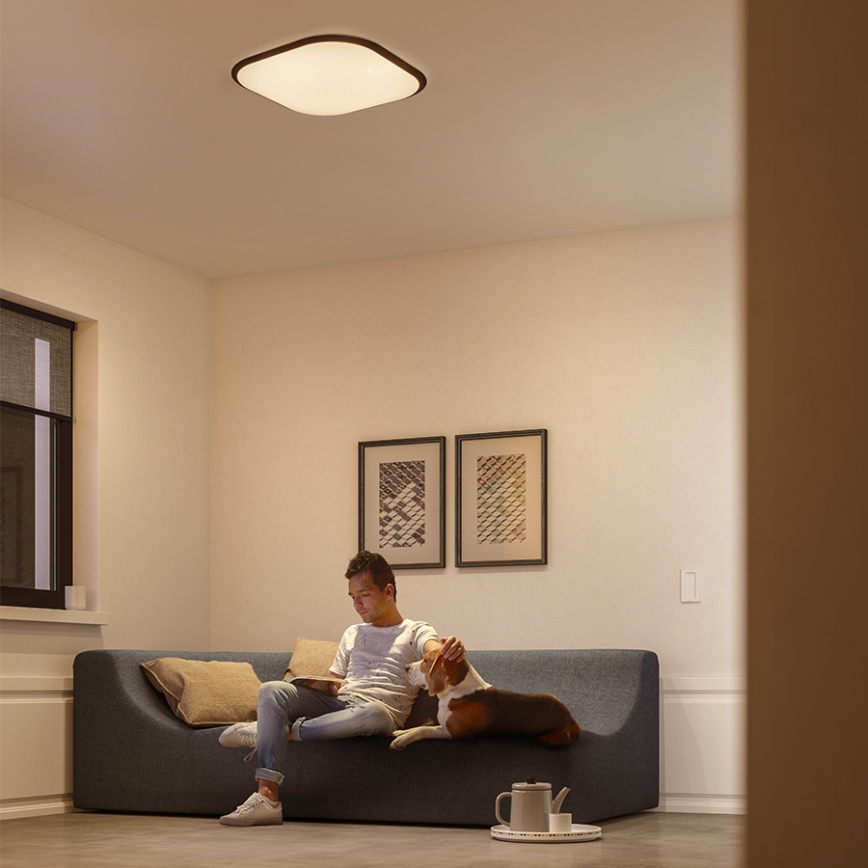 Philips 32810/31/P0 - LED Stmívatelné stropní svítidlo CANAVAL LED/18W/230V