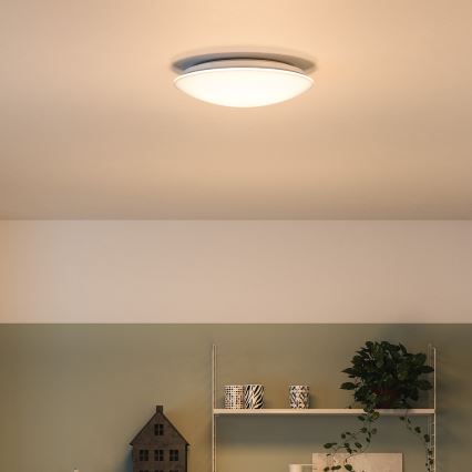 Philips 33365/31/P0 - Stropní svítidlo MYLIVING MAUVE 1xLED/22W/230V