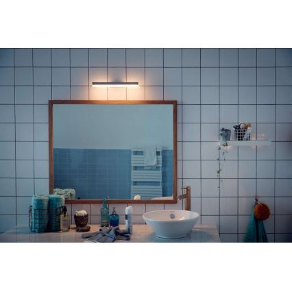 Philips 34341/11/P0 - LED Stmívatelné koupelnové svítidlo MYBATHROOM PLUNGE LED/9W/230V IP44