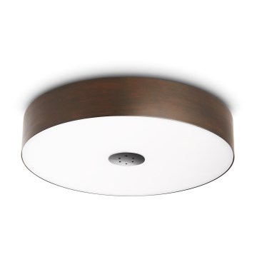 Philips 40340/11/16 - Stropní svítidlo MYLIVING FAIR 1x2GX13/60W Philips 40340/11/16 - Stropní svítidlo MYLIVING FAIR 1x2GX13/60W