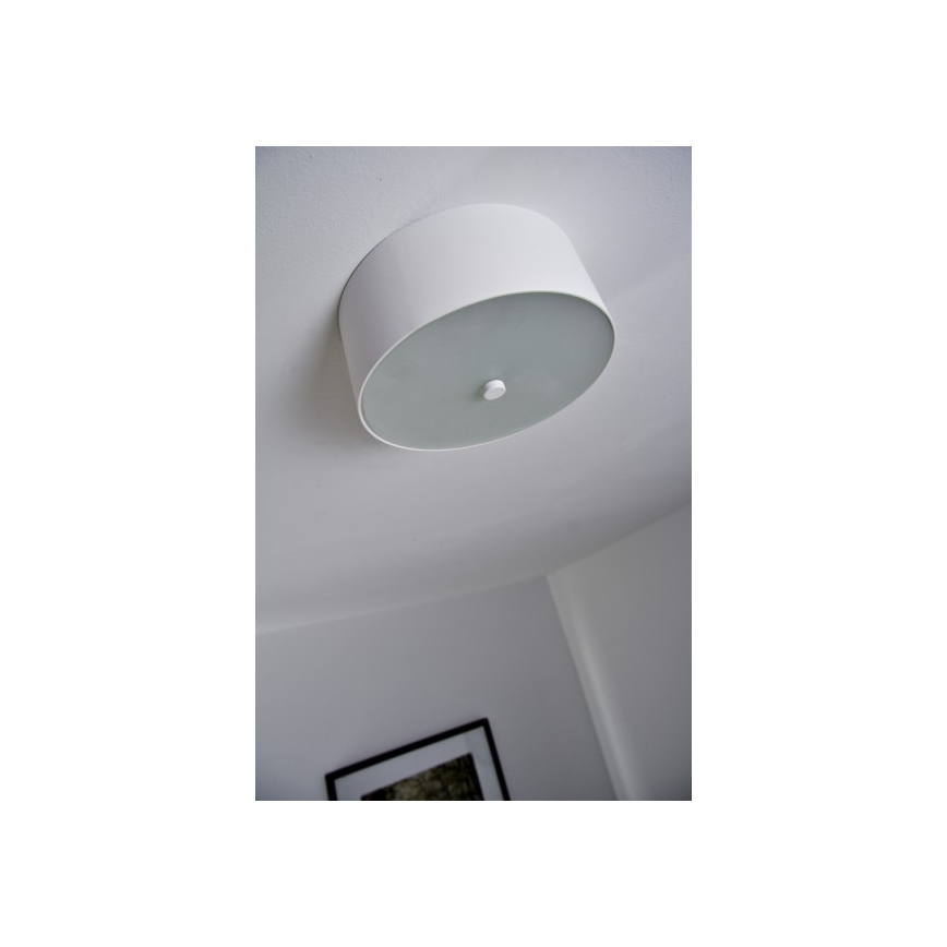 Philips 40832/31/16 - Stropní LED svítidlo MYLIVING SEQUENS 3xLED/2,5W/230V