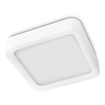 Philips 40833/31/16 - LED stropní svítidlo MYLIVING STIMUS 8xLED/2,5W/230V Philips 40833/31/16 - LED stropní svítidlo MYLIVING STIMUS 8xLED/2,5W/230V