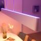 Philips - LED RGBW Stmívatelný lustr na lanku Hue ENSIS White And Color Ambiance 2xLED/39W/230V