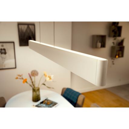 Philips - LED RGBW Stmívatelný lustr na lanku Hue ENSIS White And Color Ambiance 2xLED/39W/230V