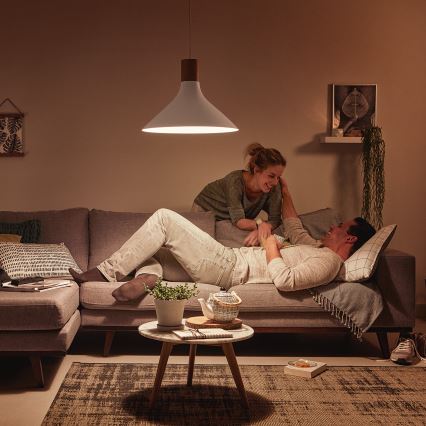 Philips 40954/31/PN - Stropní závěsné svítidlo MYLIVING TUNNEL E27/60W/230V
