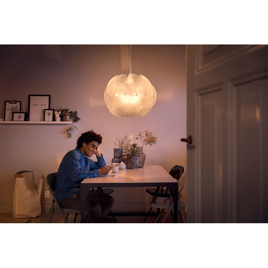 Philips - Závěsné svítidlo 1xE27/60W/230V