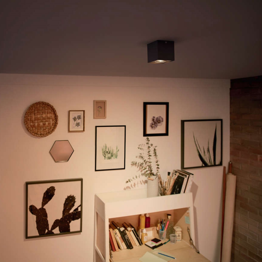 Philips 50491/30/P0 - LED bodové svítidlo MYLIVING BOX 1xLED/4,5W/230V