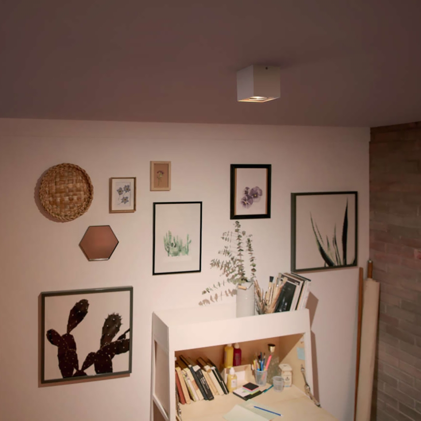 Philips 50491/31/P0 - LED bodové svítidlo MYLIVING BOX 1xLED/4,5W/230V