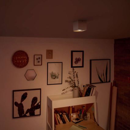 Philips 50491/31/P0 - LED bodové svítidlo MYLIVING BOX 1xLED/4,5W/230V