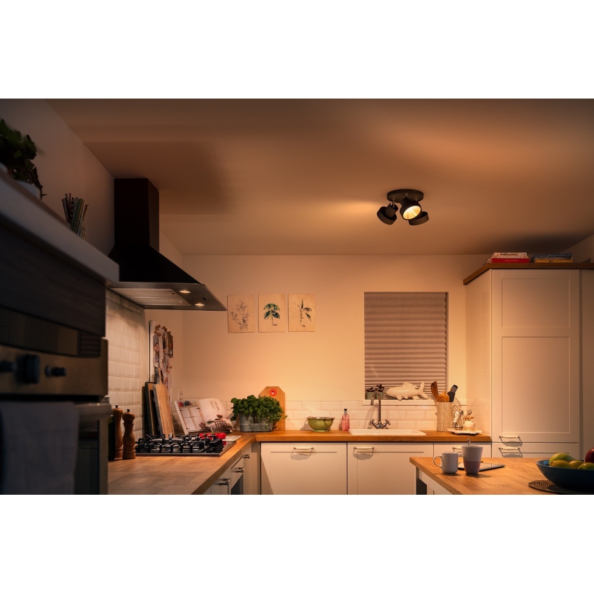 Philips 50603/30/P0 - LED Stmívatelné bodové svítidlo BUKKO 3xLED/4,3W/230V
