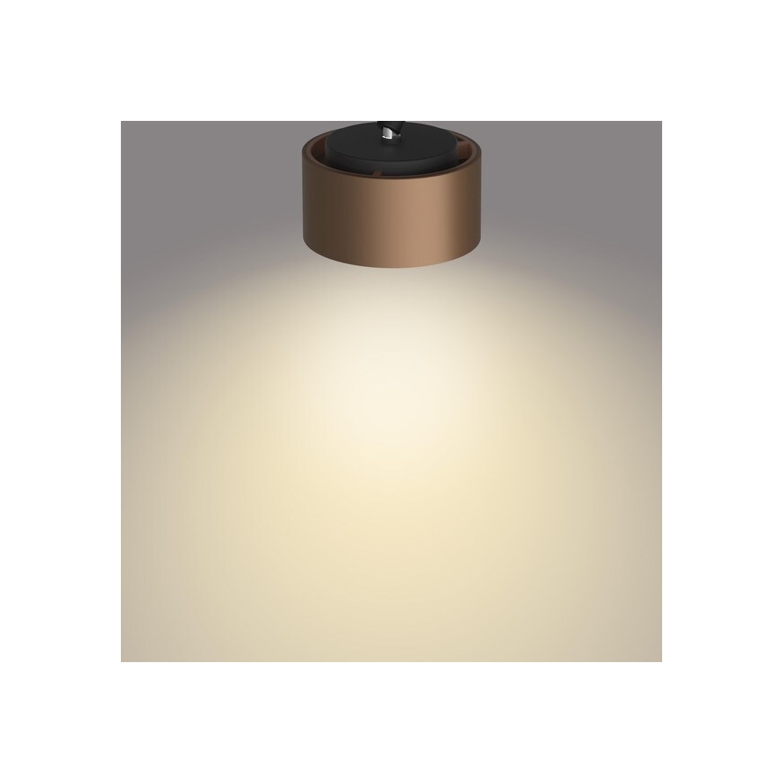 Philips 50651/05/P0 - LED Bodové svítidlo FERANO LED/4,3W/230V