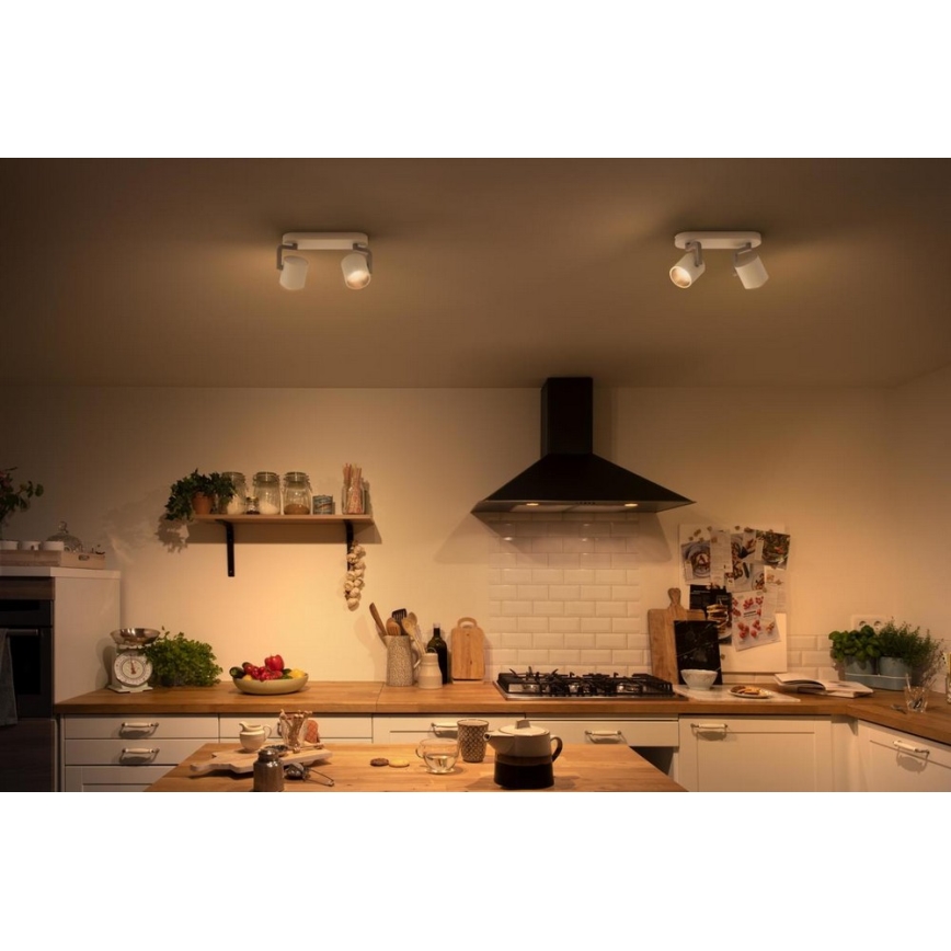 Philips - LED Stmívatelné bodové svítidlo 2xLED/4.5W/230V