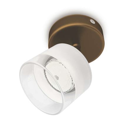 Philips 53330/06/16 - LED bodové svítidlo FREMONT 1xLED/4W/230V