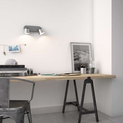 Philips 53342/17/16 - LED bodové svítidlo DENDER 2xLED/4W/230V