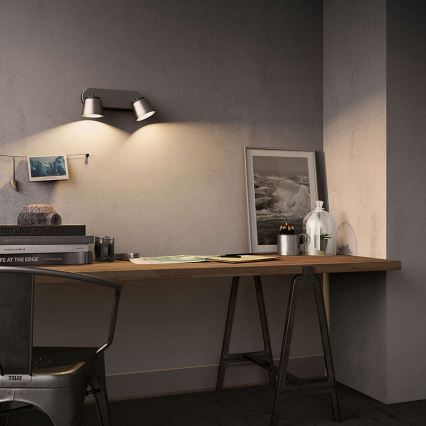 Philips 53342/17/16 - LED bodové svítidlo DENDER 2xLED/4W/230V