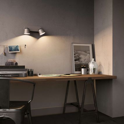 Philips 53342/31/16 - LED bodové svítidlo DENDER 2xLED/4W/230V