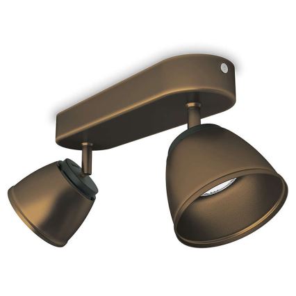 Philips 53352/06/16 - LED bodové svítidlo COUNTY 2xLED/4W/230V
