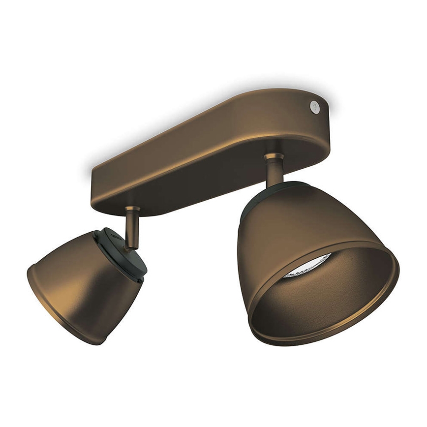 Philips 53352/06/16 - LED bodové svítidlo COUNTY 2xLED/4W/230V