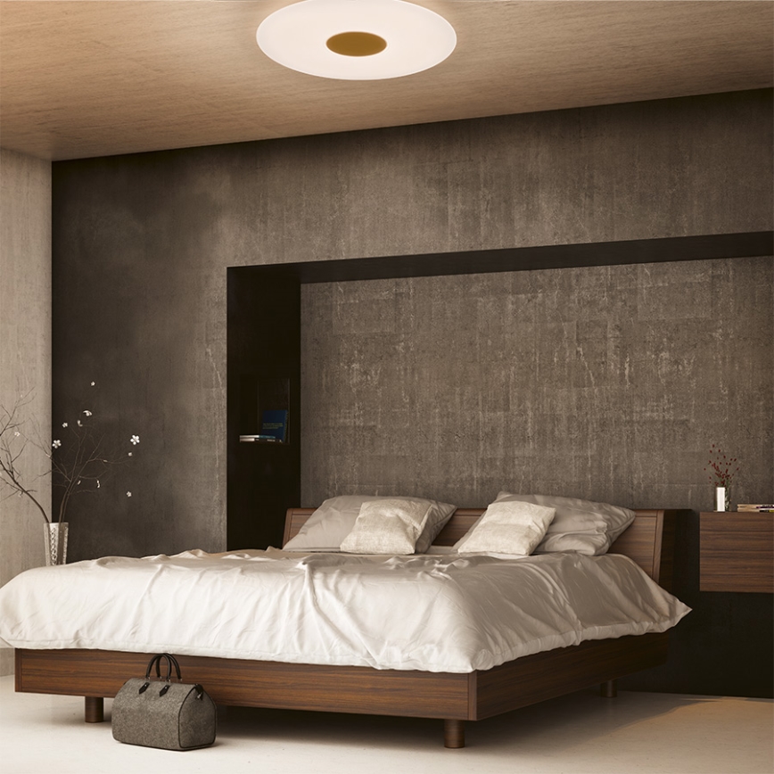 Philips 61083/31/P5 - LED Stmívatelné stropní svítidlo HARAZ LED/30W/230V