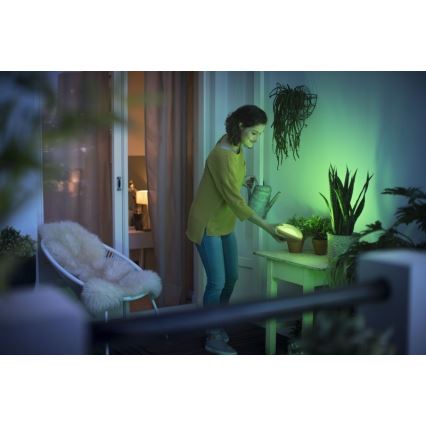 Philips 70104/31/P0 - LED RGB Stmívatelná přenosná lampa CAMELLIA LED/3W/5V