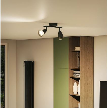 Philips - Bodové svítidlo CLEFT 2xGU10/5W/230V