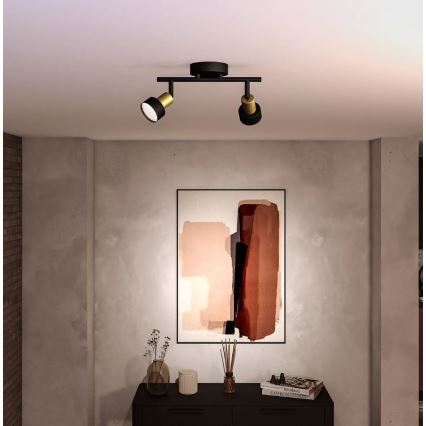 Philips - Bodové svítidlo CONDUIT 2xGU10/5W/230V černá/mosaz