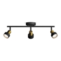 Philips - Bodové svítidlo CONDUIT 3xGU10/5W/230V černá/mosaz