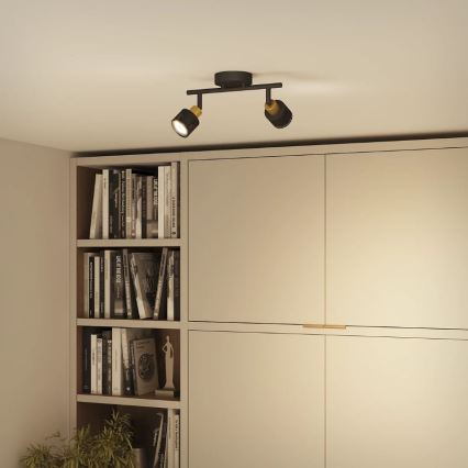 Philips - Bodové svítidlo NIALL 2xGU10/5W/230V černá/mosaz