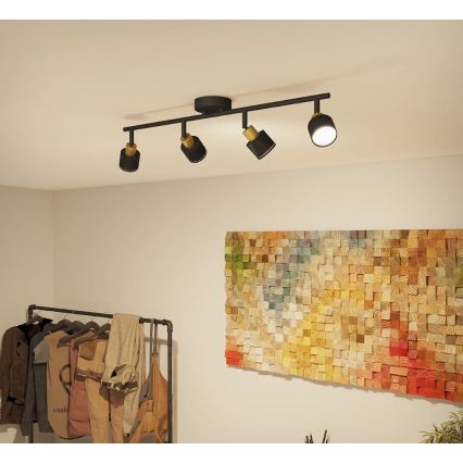 Philips - Bodové svítidlo NIALL 4xGU10/5W/230V černá/mosaz