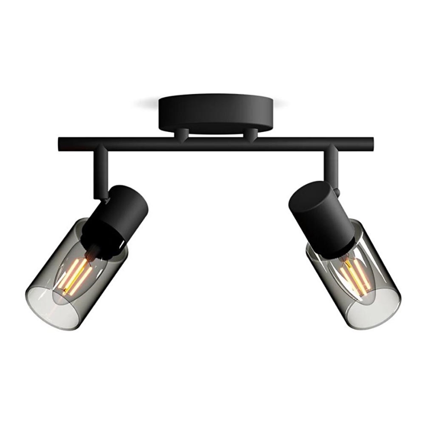 Philips - Bodové svítidlo PALMS 2xE14/25W/230V