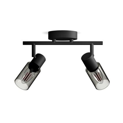 Philips - Bodové svítidlo PALMS 2xE14/25W/230V