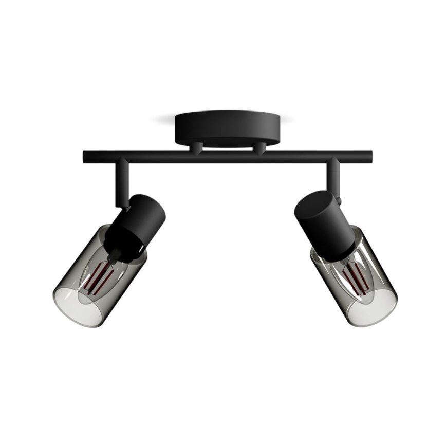 Philips - Bodové svítidlo PALMS 2xE14/25W/230V