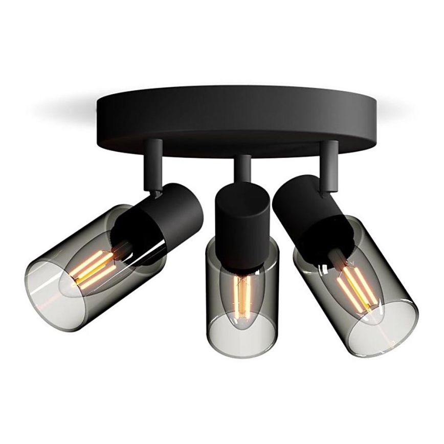 Philips - Bodové svítidlo PALMS 3xE14/25W/230V