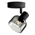 Philips - Bodové svítidlo SLEET 1xE14/25W/230V