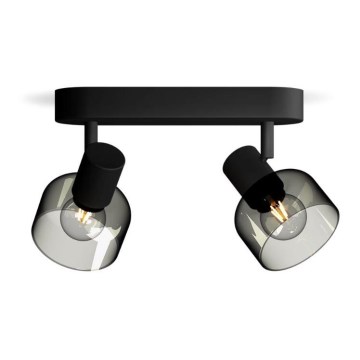 Philips - Bodové svítidlo SLEET 2xE14/25W/230V