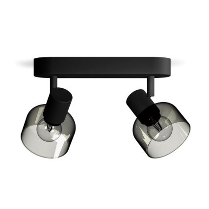 Philips - Bodové svítidlo SLEET 2xE14/25W/230V