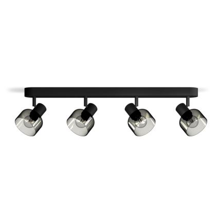 Philips - Bodové svítidlo SLEET 4xE14/25W/230V